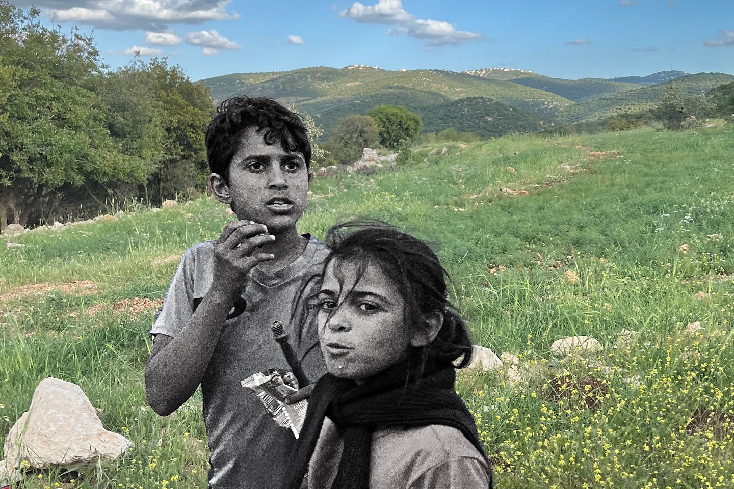 Two children stand in a green hillside meadow, their figures rendered in black and white against a full-colour landscape of grass, trees and distant hills.